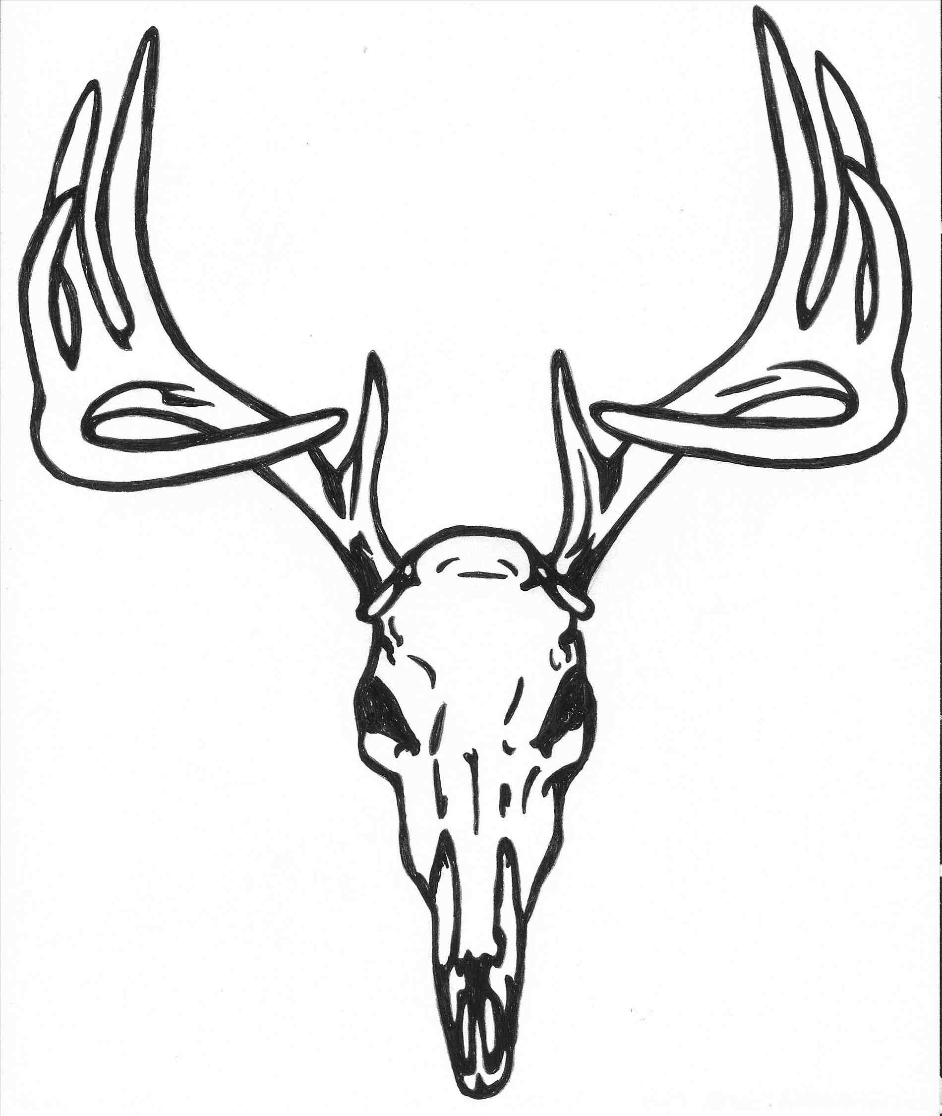 Deers Drawing at GetDrawings Free download
