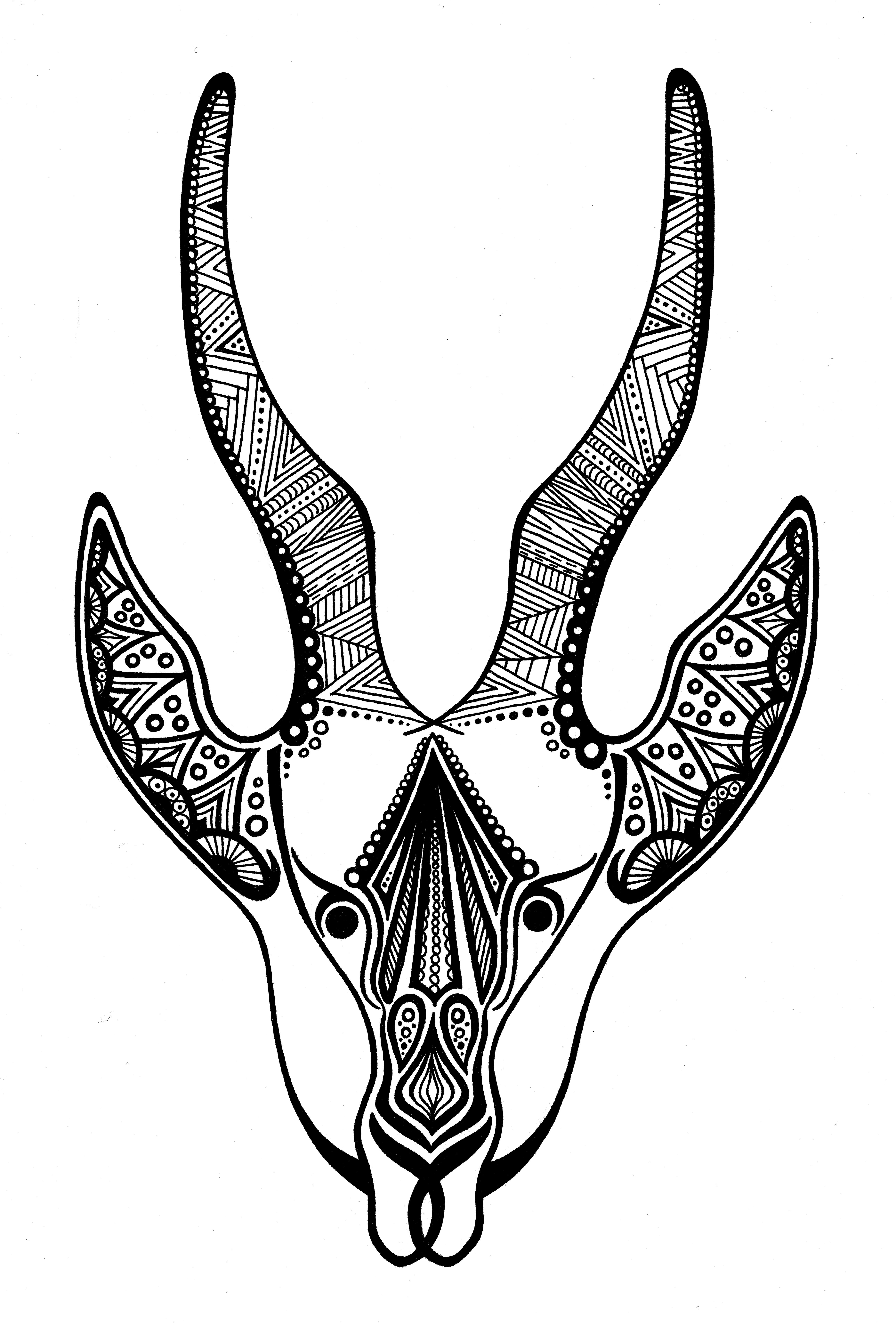 Desert Skull Drawing at GetDrawings Free download