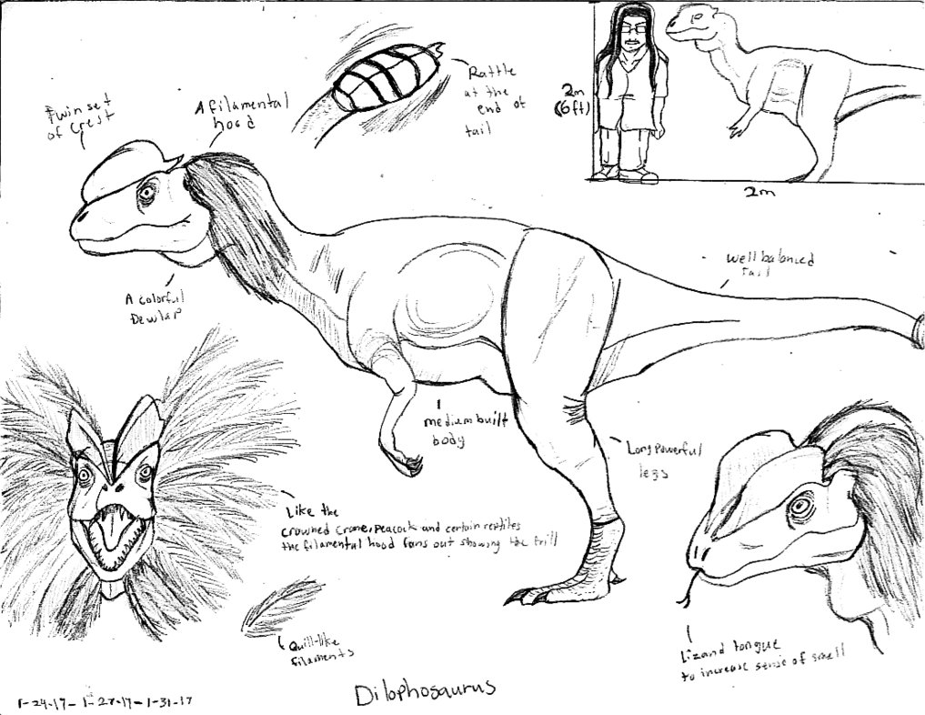 Dilophosaurus Drawing At Getdrawings Free Download