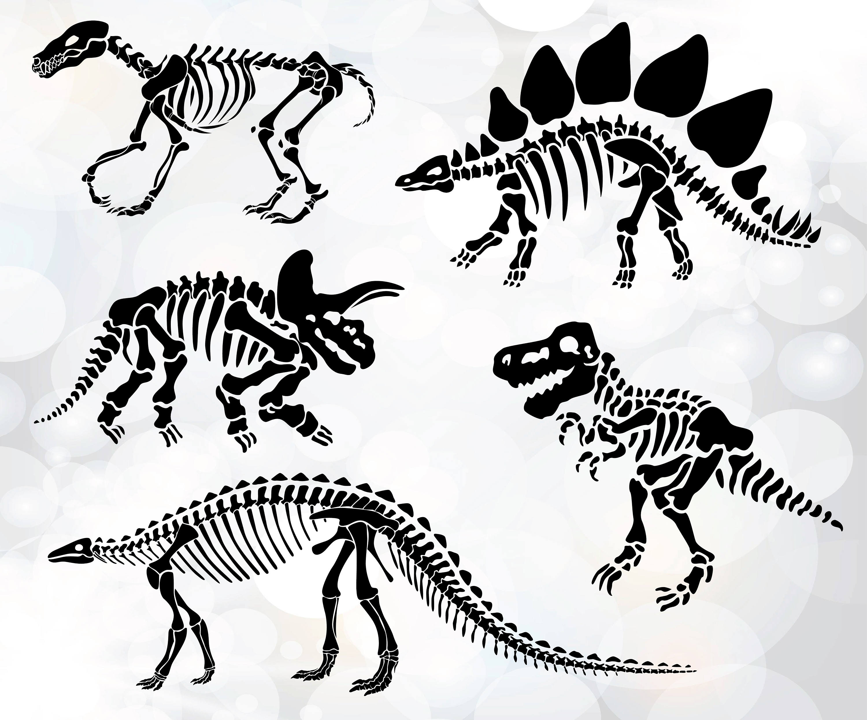 Dinosaur Bone Drawing At GetDrawings Free Download