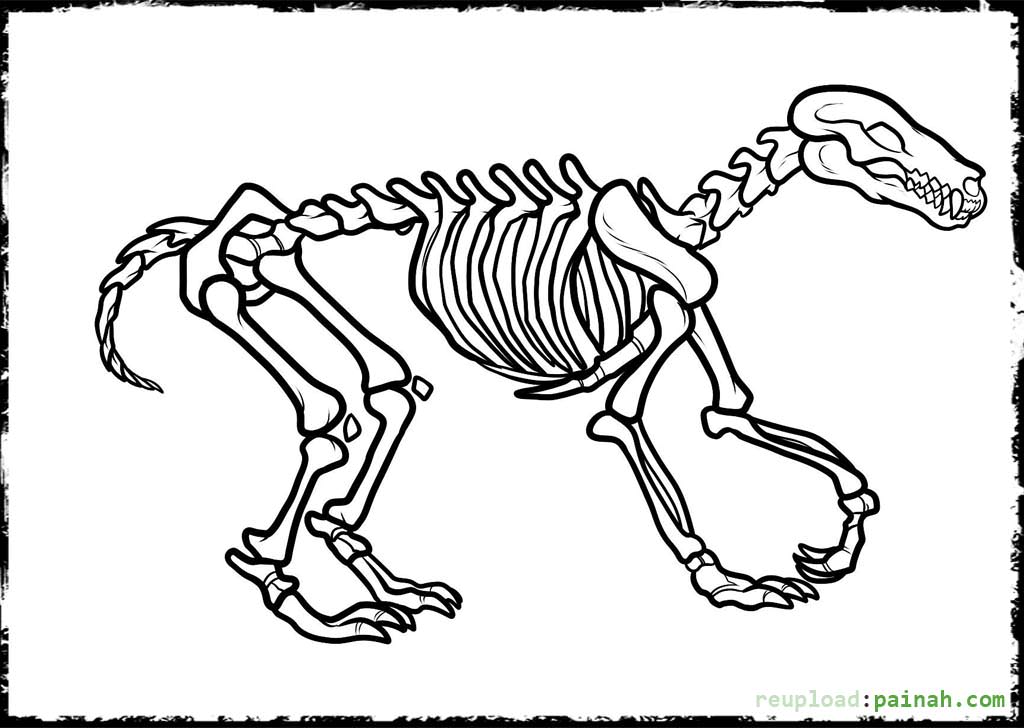 Easy Dinosaur Bones Coloring Pages / Click the dinosaur bone coloring