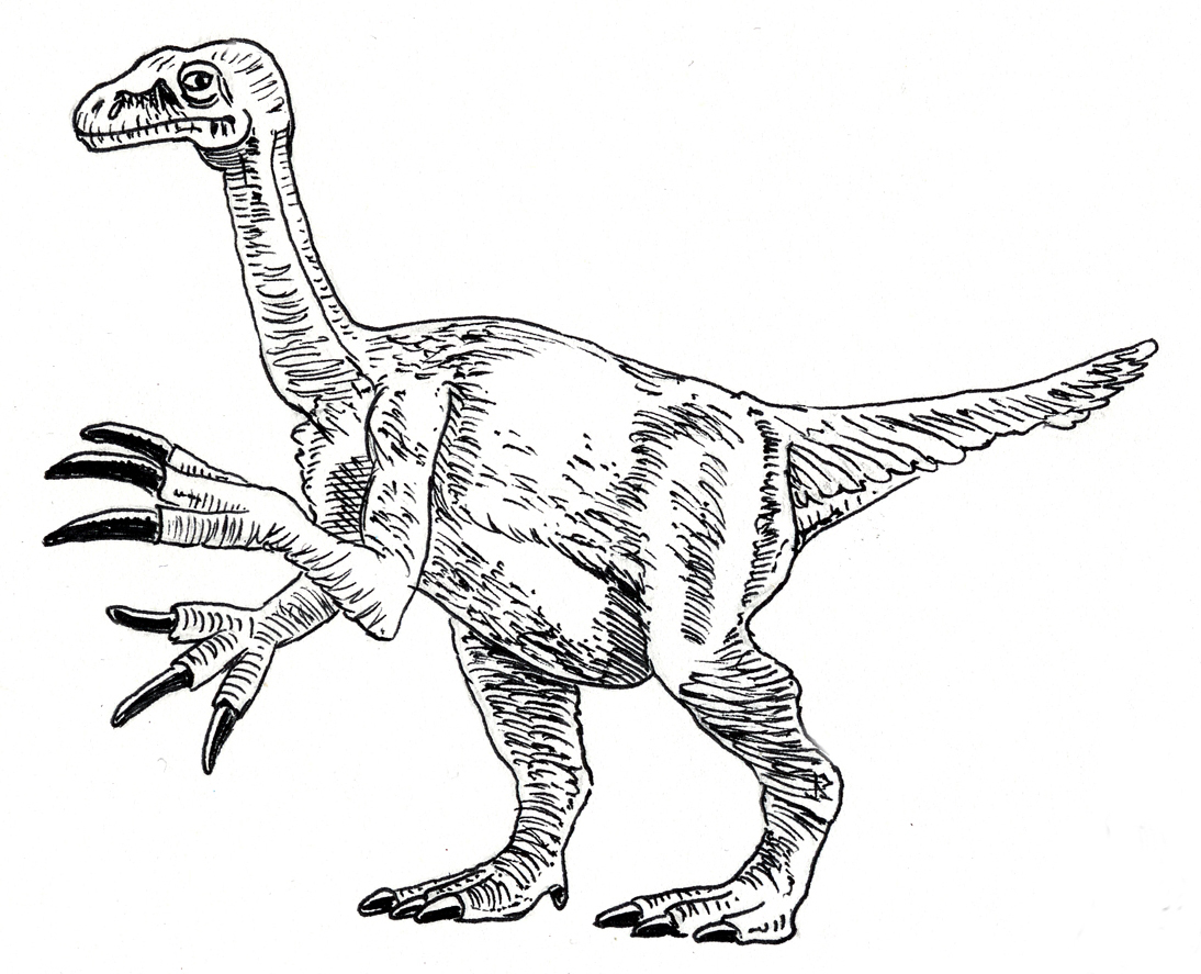 Dinosaur Bones Drawing at GetDrawings | Free download