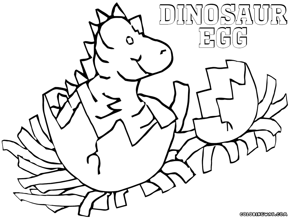 dinosaur-egg-drawing-at-getdrawings-free-download