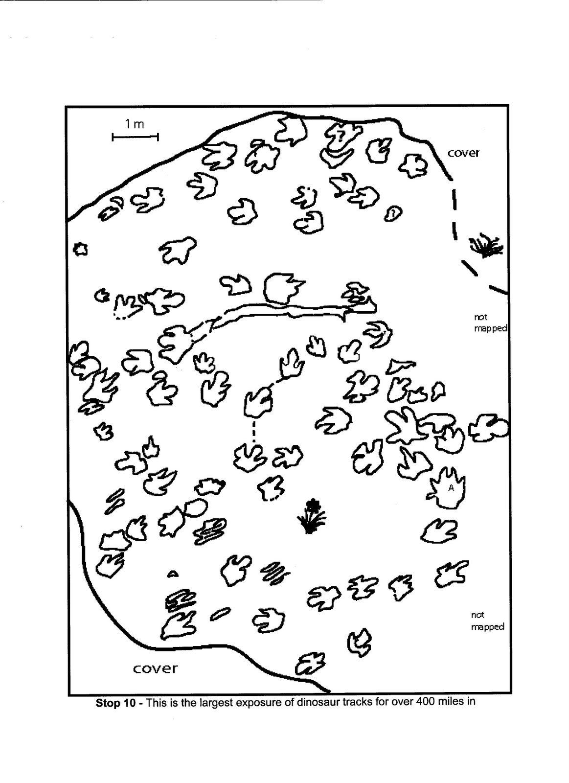 dinosaur footprint coloring page