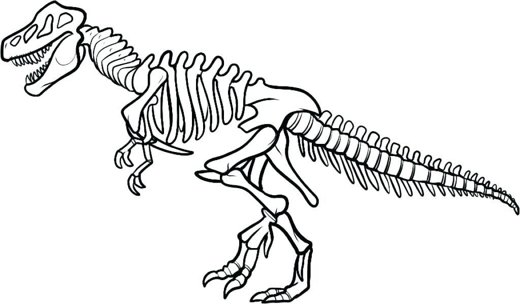 Dinosaur Fossil Drawing at GetDrawings Free download
