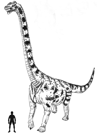 argentinosaurus coloring page