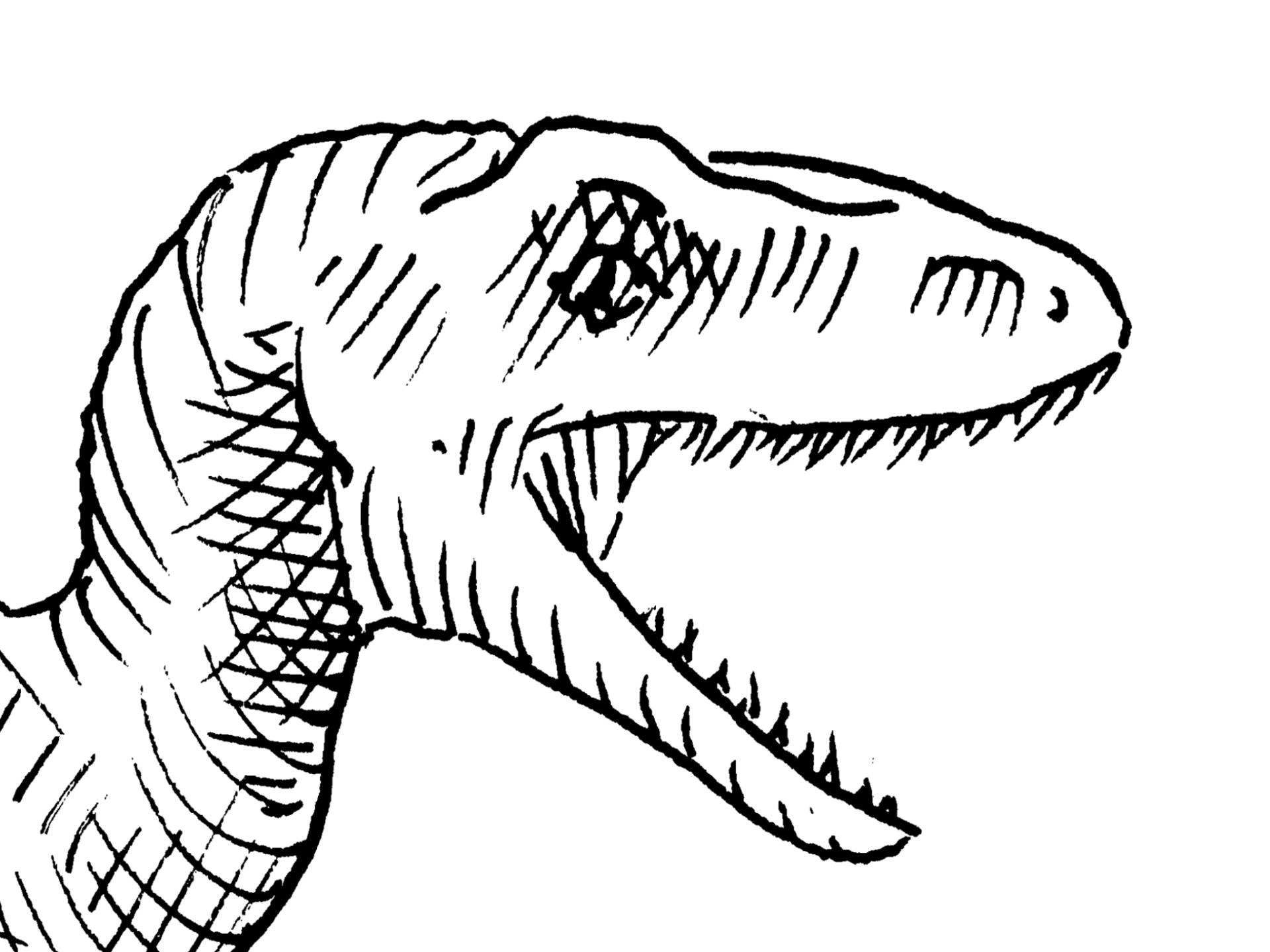 dinosaur sketch images