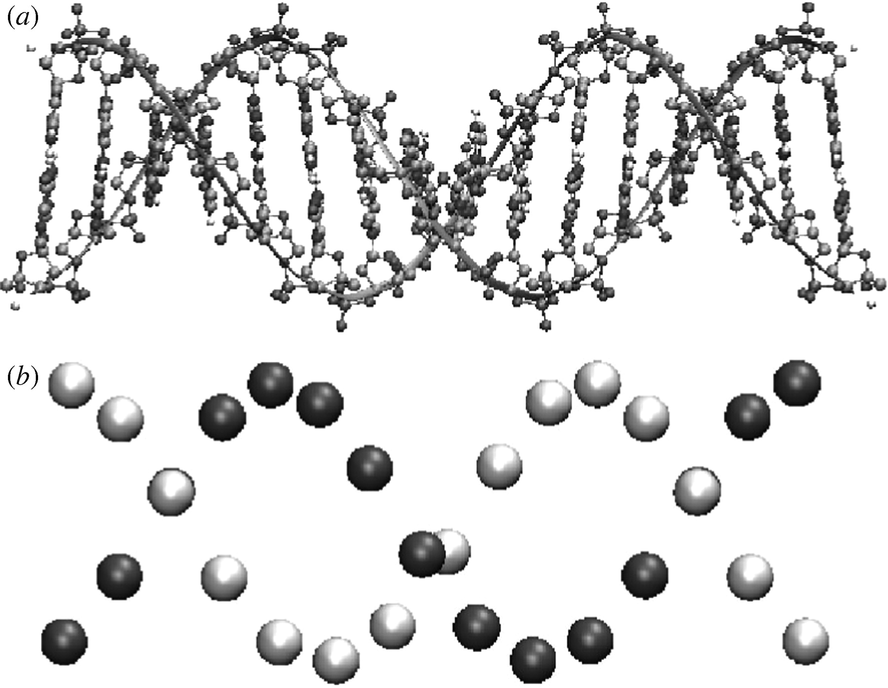 dna-model-drawing-at-getdrawings-free-download