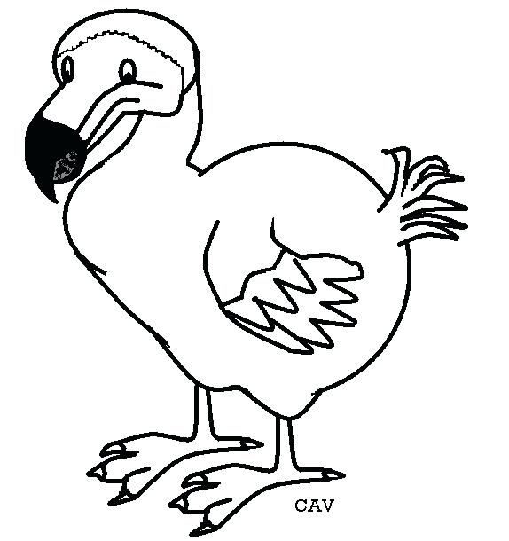 Dodo Bird Drawing at GetDrawings | Free download