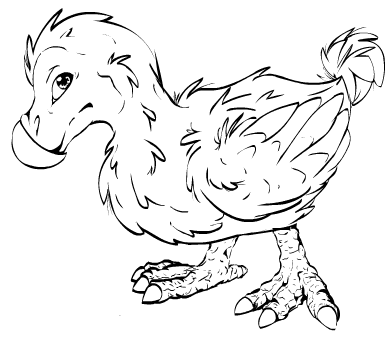 real dodo drawing