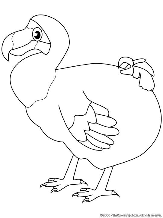 cartoon dodo bird drawing