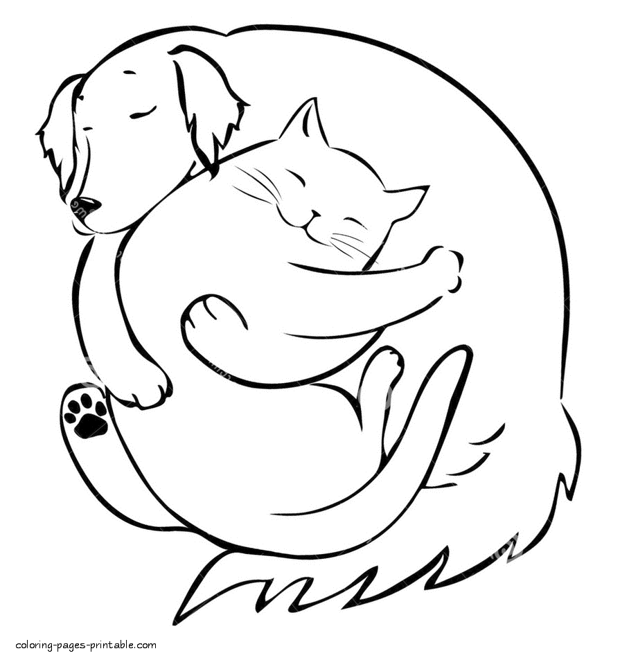 Dog And Cat Drawing at GetDrawings | Free download