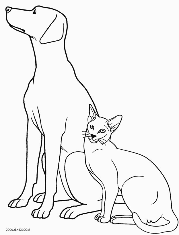 Dog And Cat Drawing at GetDrawings | Free download