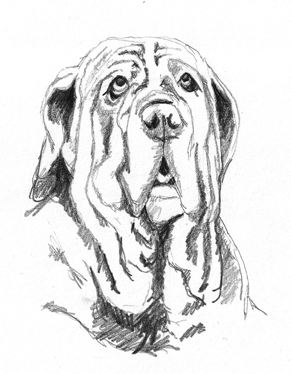 Dog Black And White Drawing at GetDrawings | Free download