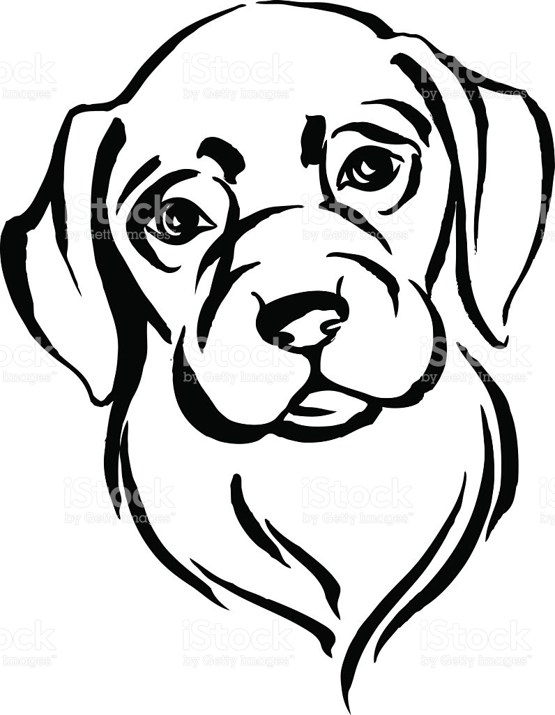 Dog Black And White Drawing at GetDrawings | Free download