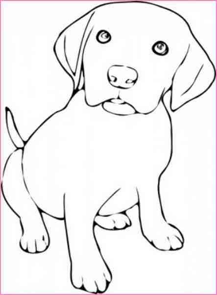 Dog Black And White Drawing at GetDrawings | Free download