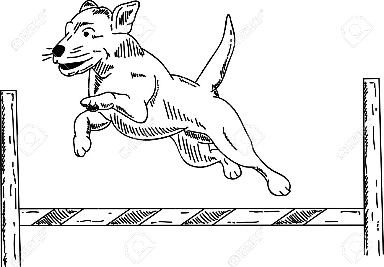 Dog Jumping Drawing at GetDrawings Free download
