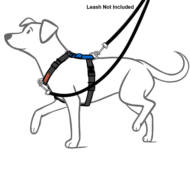Dog Leash Drawing at GetDrawings Free download
