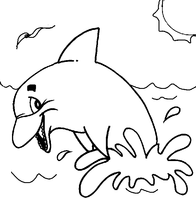 dolphin fish drawings