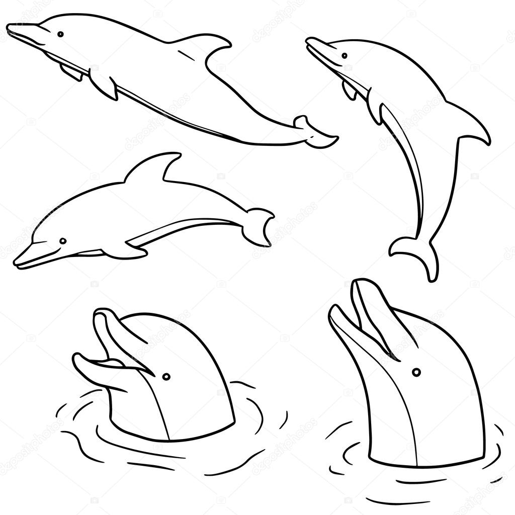 Дельфин стилизация контуром