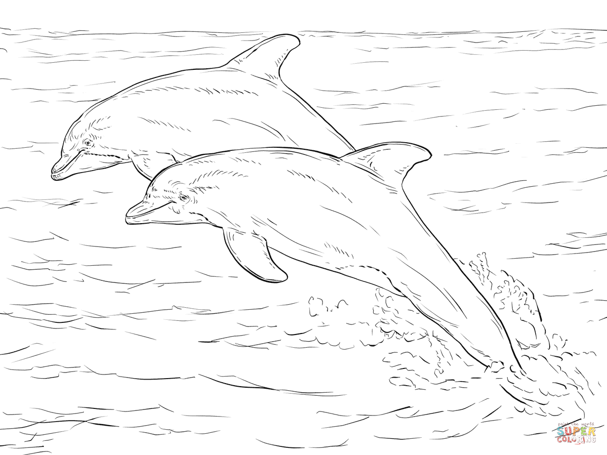Dolphins Drawing Pictures at GetDrawings | Free download