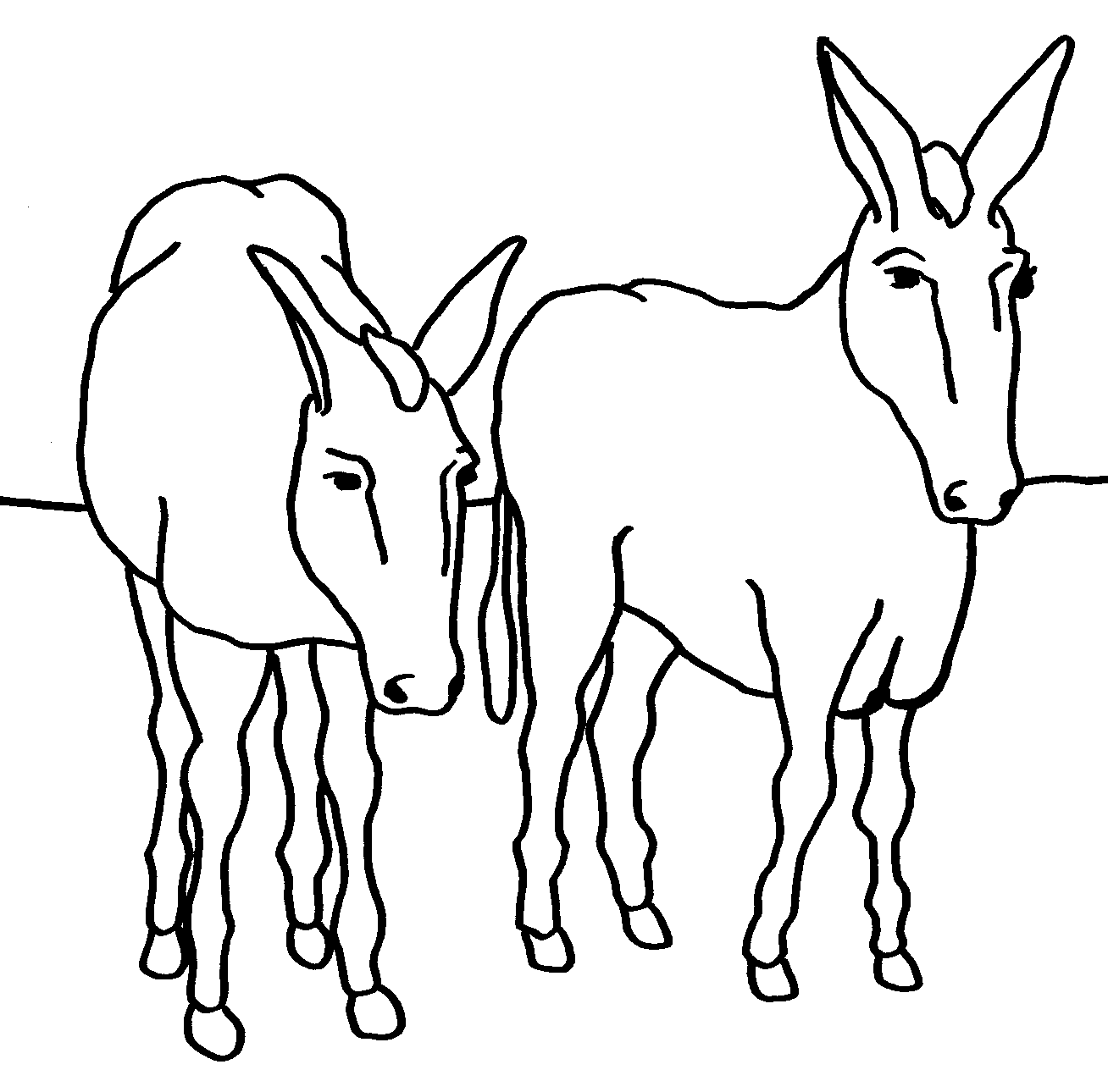 1308x1290 Donkey.