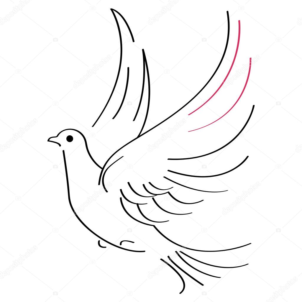dove simple drawing