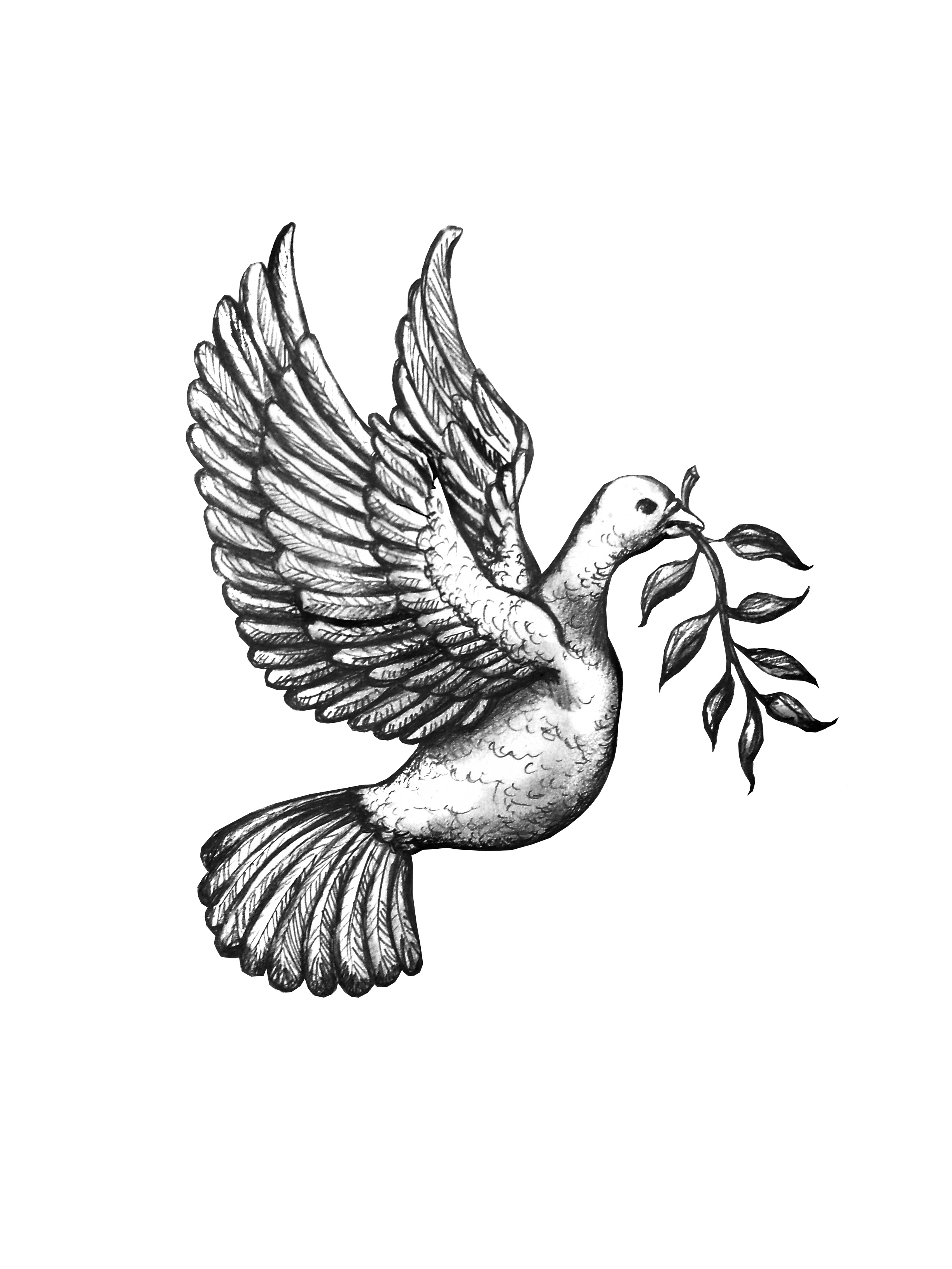 Dove Drawing Tattoo at GetDrawings Free download