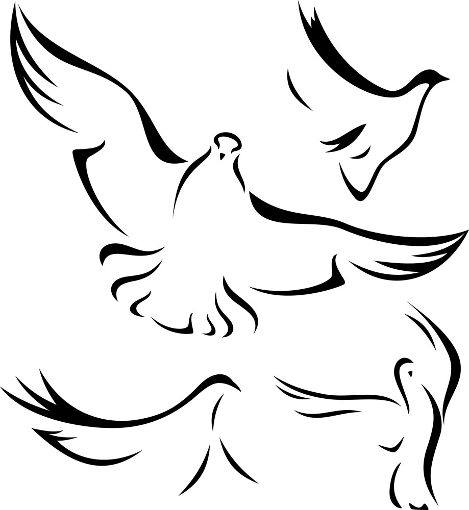 Dove Outline Drawing at GetDrawings Free download