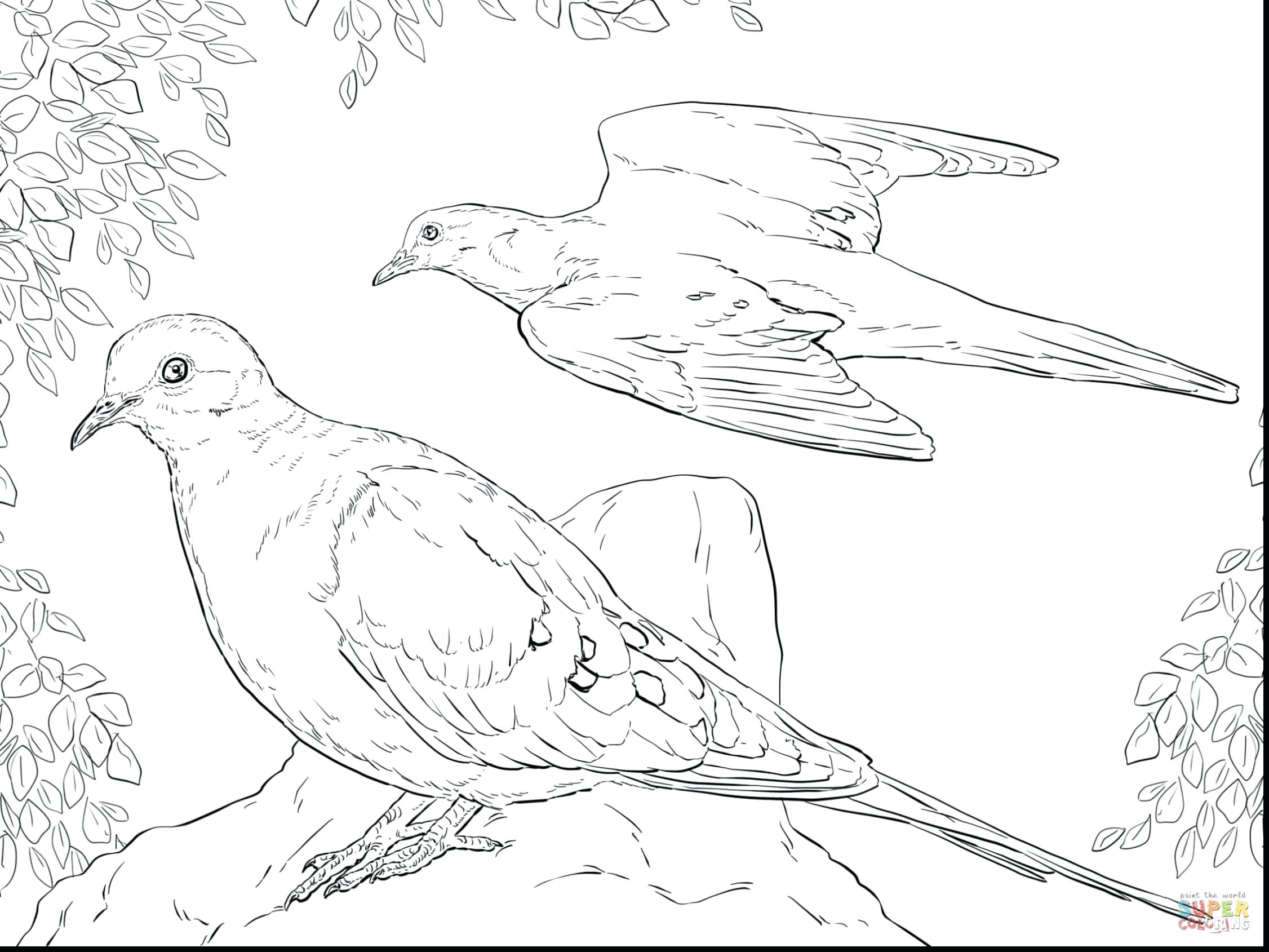 Doves Drawing at GetDrawings | Free download