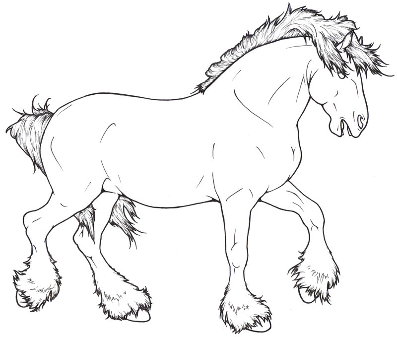 Draft Horse Drawing at GetDrawings | Free download