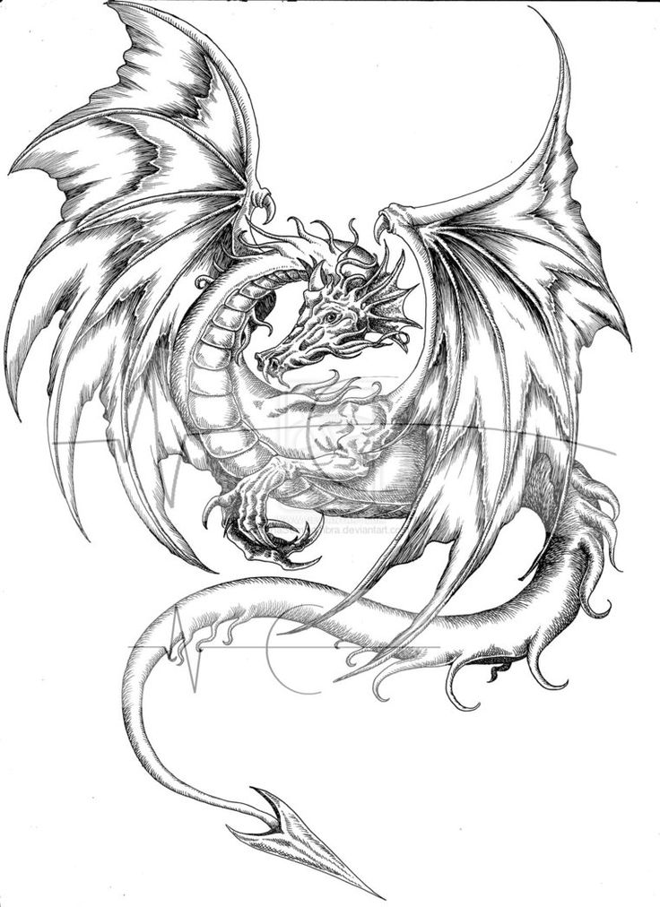Dragon Drawing Black And White at GetDrawings Free download