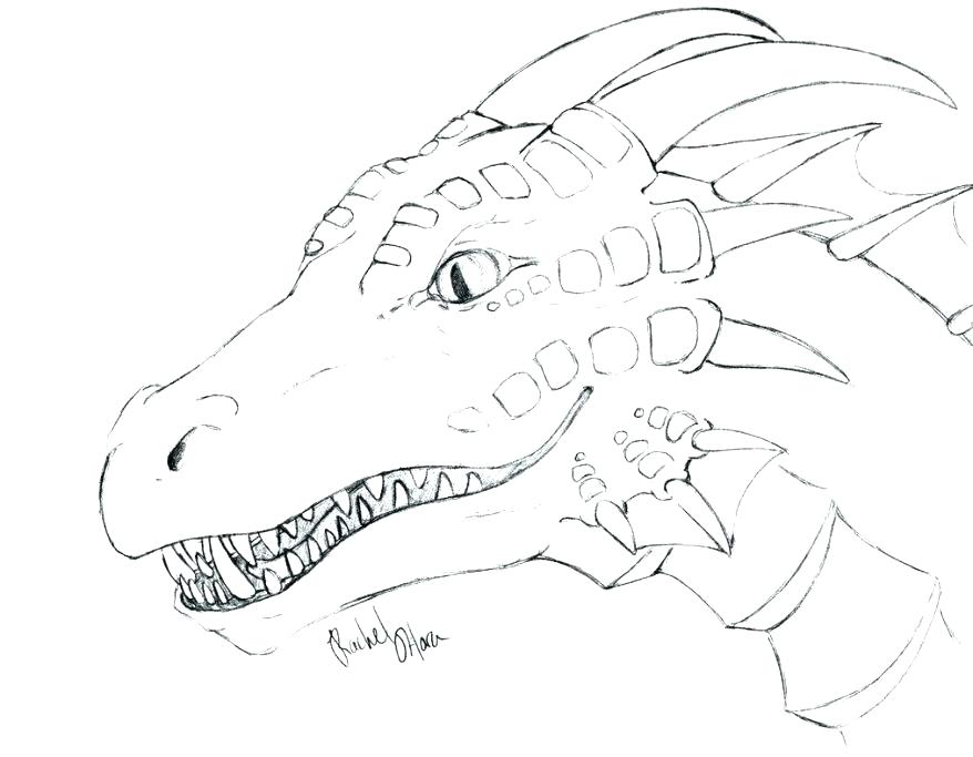 Dragon Head Drawing at GetDrawings | Free download