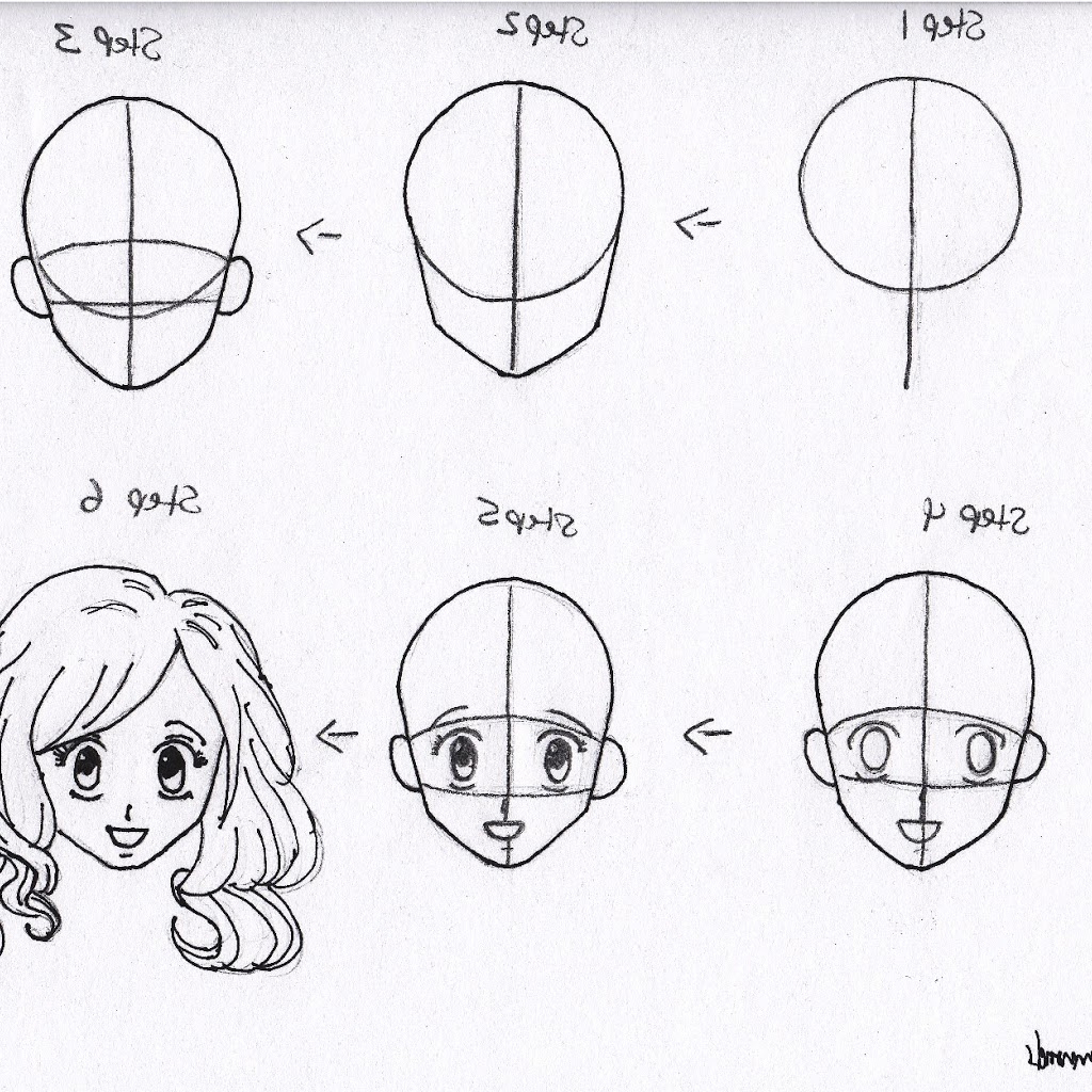 How To Draw A Anime Face Step By Step For Beginners / Anime anatomy