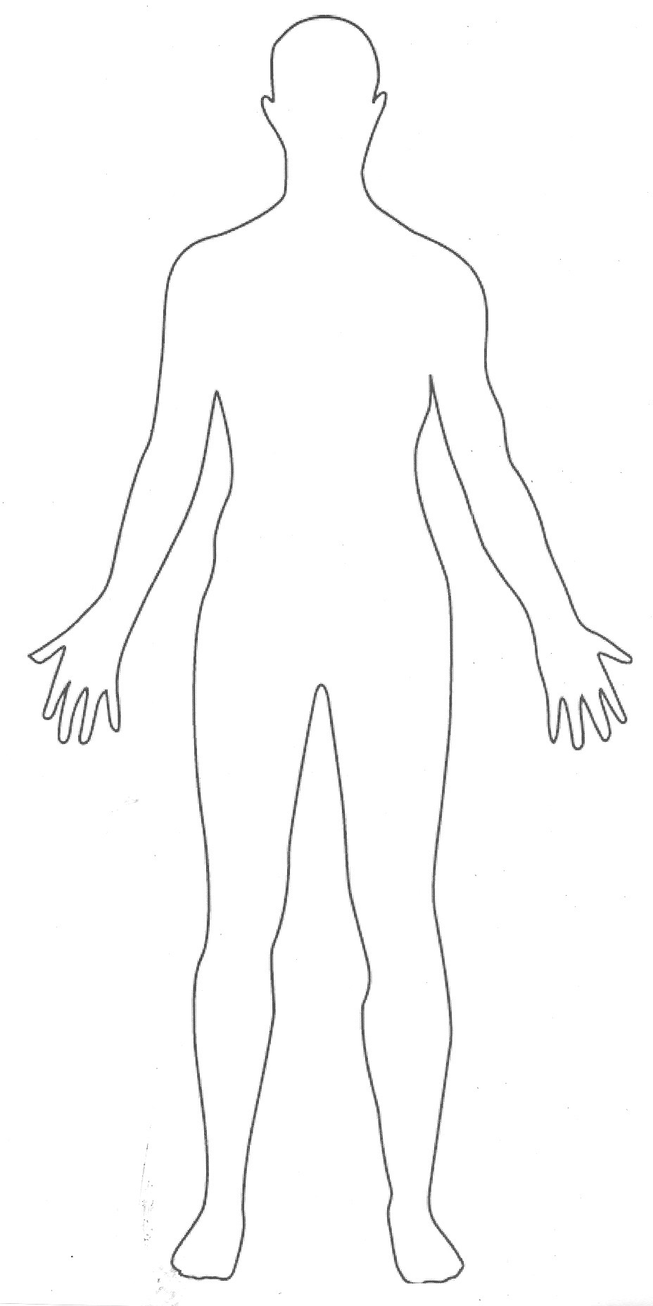 Simple Human Body Outline Barca Fontanacountryinn Com