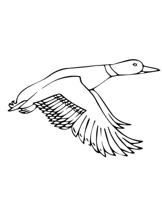 Duck Call Coloring Page