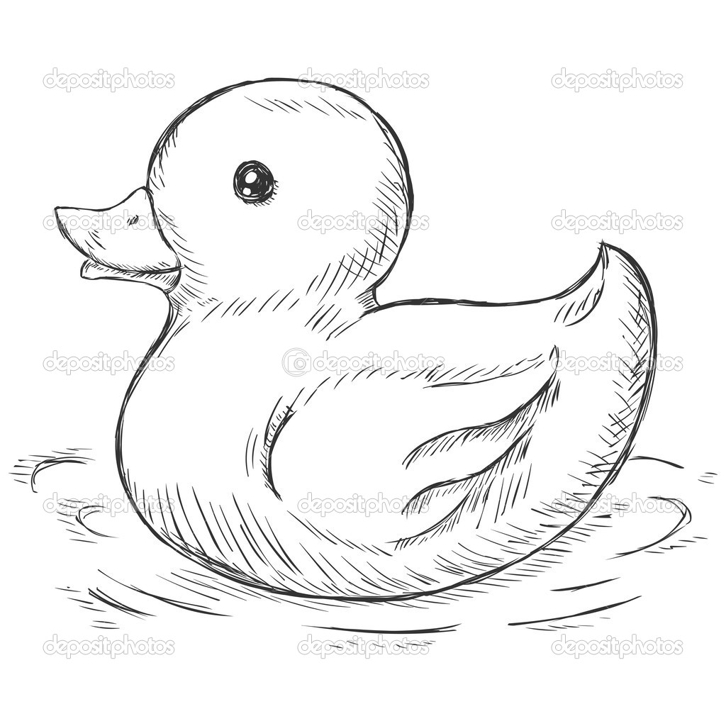 Duck In A Pond Drawing at GetDrawings Free download