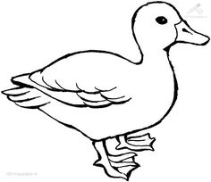 Duck Drawing Outline at GetDrawings | Free download