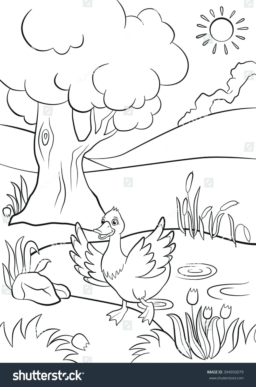 Duck Pond Drawing at GetDrawings | Free download