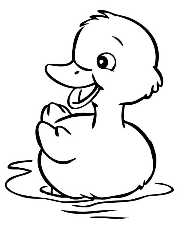 Duckling Drawing at GetDrawings Free download