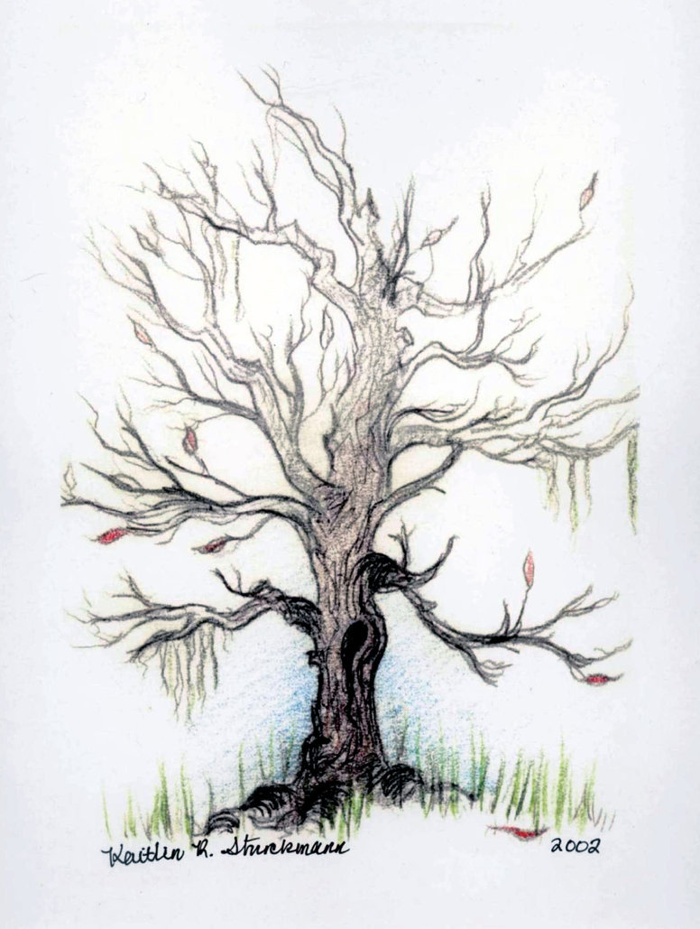 Dying Tree Drawing at GetDrawings Free download