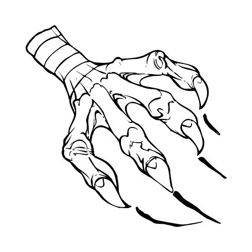 Eagle Claw Drawing at GetDrawings | Free download