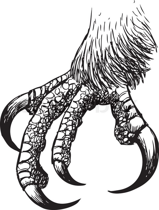 Eagle Claw Drawing at GetDrawings Free download