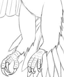 Eagle Claws Drawing at GetDrawings | Free download