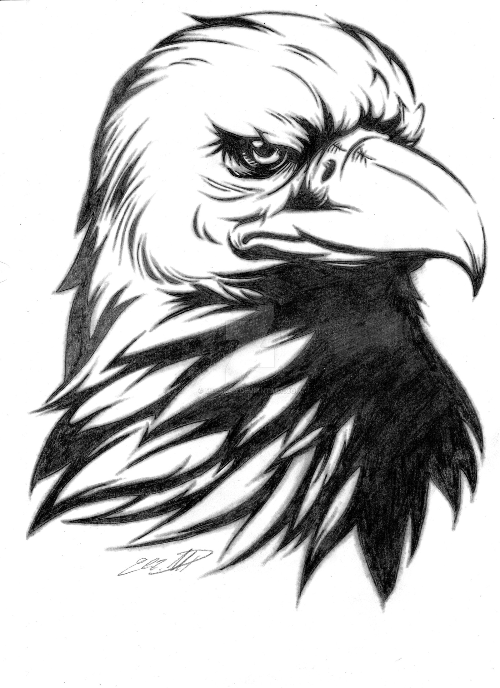 Eagle Drawing Images At GetDrawings Free Download.