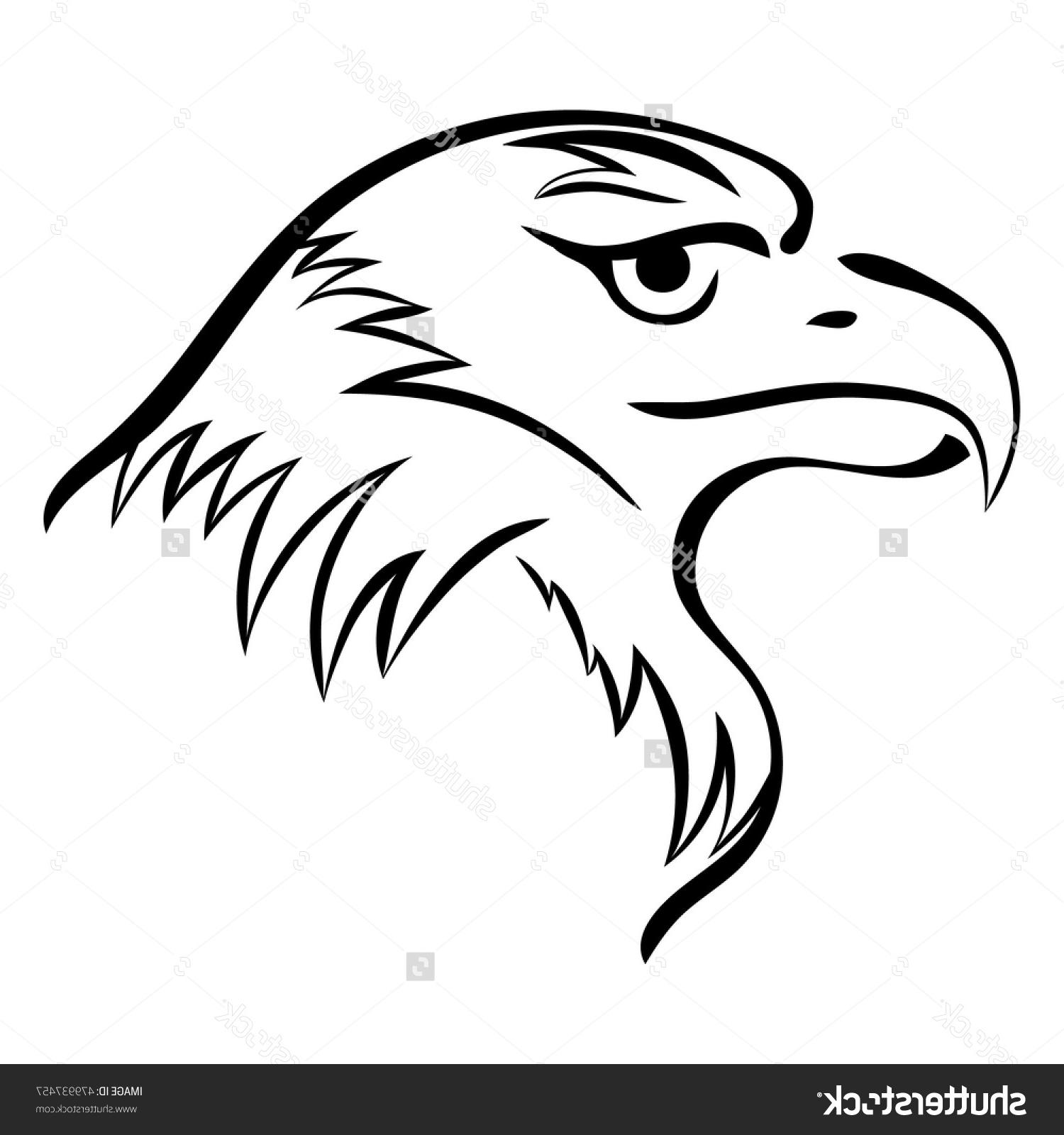 Eagle Head Line Drawing at GetDrawings | Free download