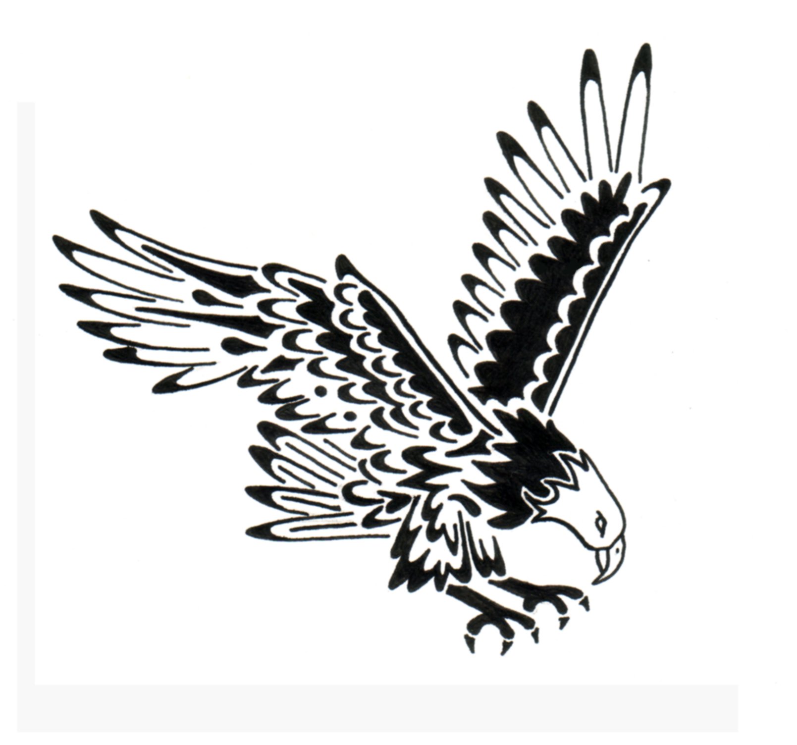 Eagle Head Line Drawing at GetDrawings Free download