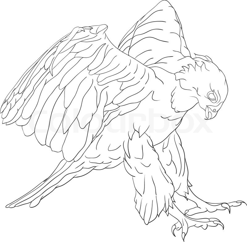 Eagle Talon Drawing at GetDrawings Free download