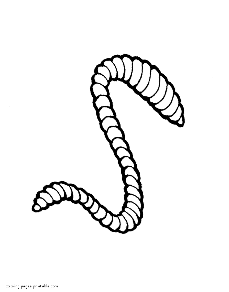Earthworm Drawing at GetDrawings | Free download