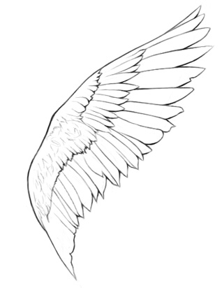 Easy Angel Wings Drawing At Getdrawings Com Free For